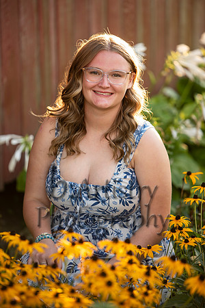 _BAP6038