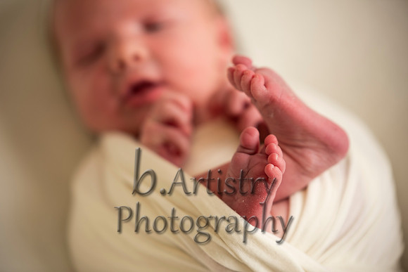 _BAP6238