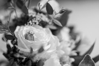 Roehm_004