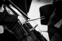 Farrelly_0458