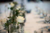Farrelly_0811