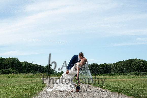 Wright_520_(2)