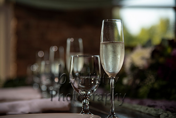 BCWed_0487
