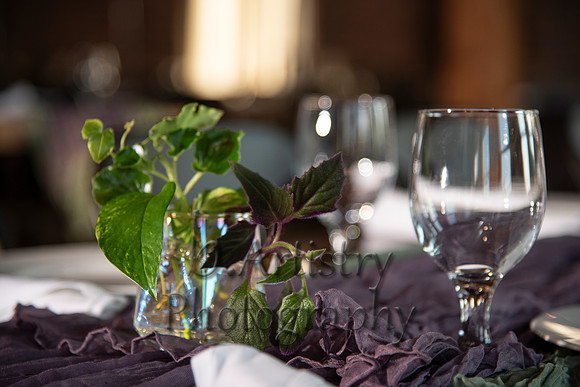 BCWed_0486